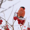 ��� ������ ��� ���������: ����,������, �������... �� ������� ���� ����������