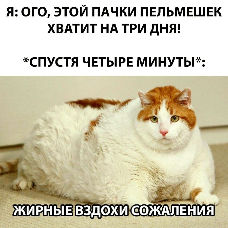 Жирные вздохи сожаления изображение 178