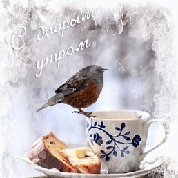 �., ��������, 85 ���