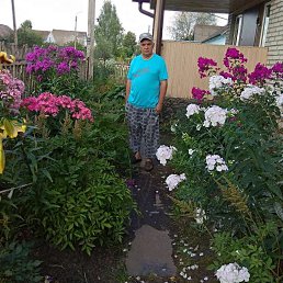 ��������, ������, 67 ���