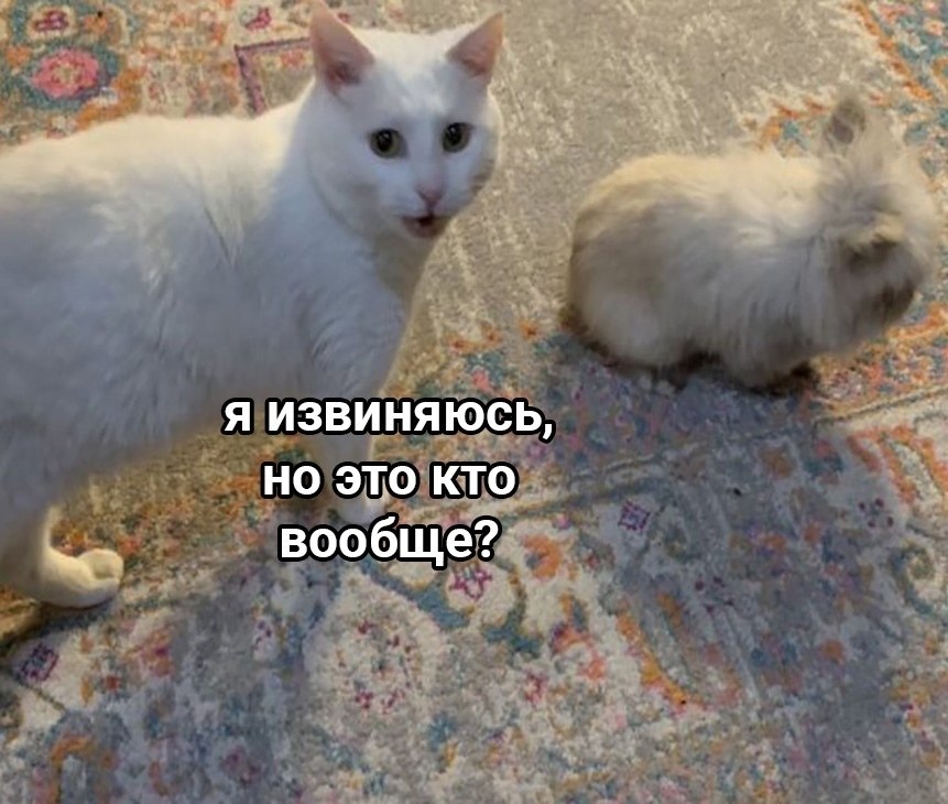    -,  