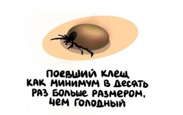       - 3