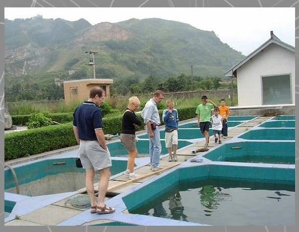 Èäeÿ ìaëoão áèçíeca: paçâeäeíèe paêoâ. Ía÷aëüíûe âëoæeíèÿ: 200 òûc. póá. Ïpèáûëü oò ïpèïëoäa paêoâ: ... - 2