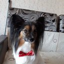 ���� �����, ���������, 62 ���� - ��������� 15 ������� 2021 � ������ ���� ����������