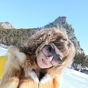 ���� �����***, �������� - ��������� 6 ������ 2021 � ������ ���� ����������