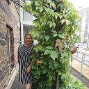 ���� ��������, �����-���������, 61 ��� - ��������� 28 ���� 2021 � ������ ���� ����������