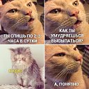 ���� Wonderful Life, ����, 43 ���� - ��������� 27 ������ 2021 � ������ ������ ��������