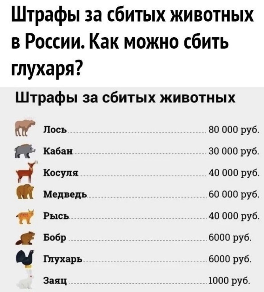 Штрафы за сбитых животных 2021. Таблица штрафов за сбитие животных. Штрафы за сбитых животных. Штрафы за сбитых животных. Таблица штрафов за сбитых животных.