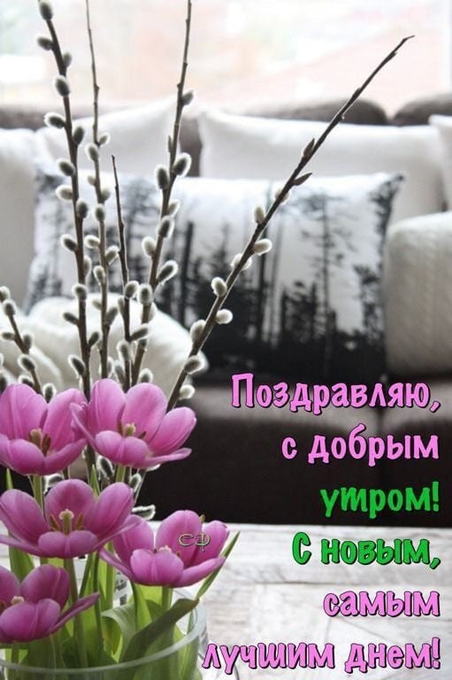   ,    . - 25  2021  23:14