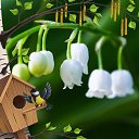 ���� ���, ��������, 56 ��� - ��������� 30 ���� 2021