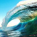  ••,  -  15  2021    ߻