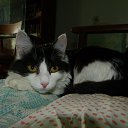 ���� Sergey, ����-�����������, 49 ��� - ��������� 21 ���� 2021 � ������ ���� ����������