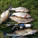 ���� ������, �����, 57 ��� - ��������� 20 ������� 2021