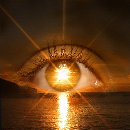 ���� �����, �������� - ��������� 14 ��� 2021