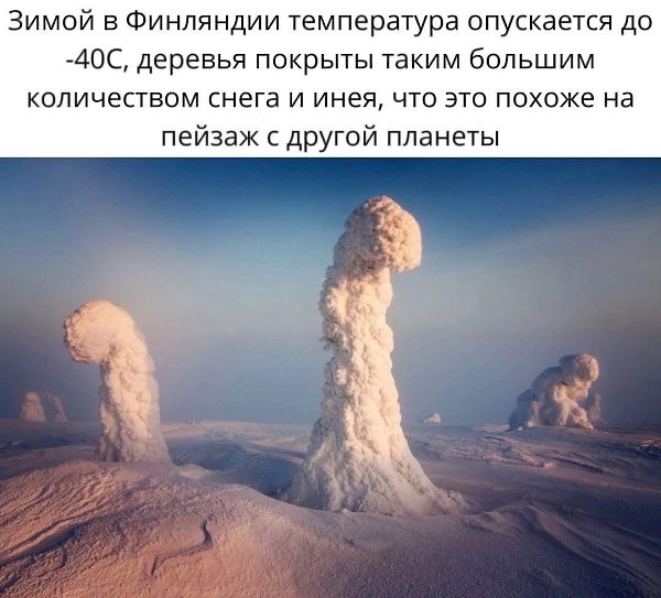 -     .
