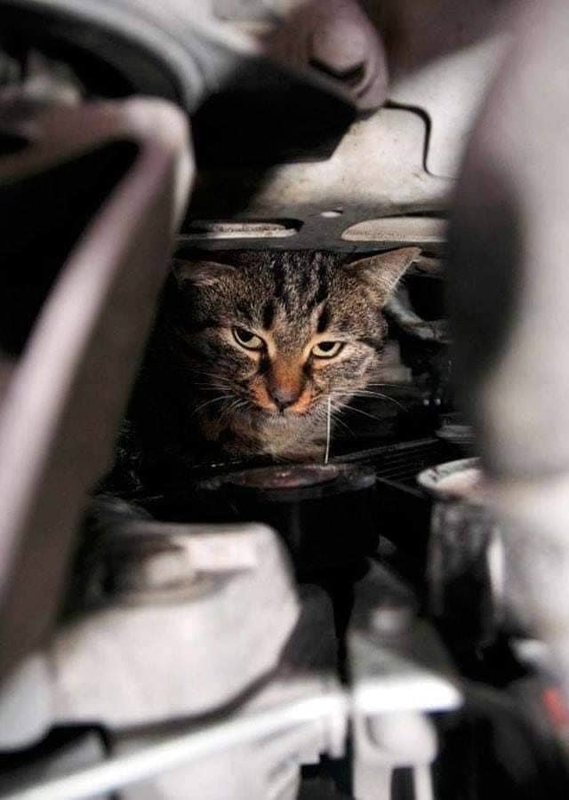   ,      ,    .  , ... - 3