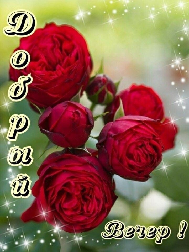   ,    . - 12  2021  16:35 - 2