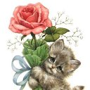 ���� �������, �����-��������� - ��������� 15 ������ 2021 � ������ ��������� ���� � webday.ru�