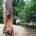 �������� �� �������� �� �����, �� ������ �������� �� ��������.���� ������ �� ������� ������ ��������