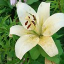 ���� �������, ������ �������� - ��������� 23 ������ 2021 � ������ ���� ����������