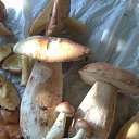 ���� ����, ������, 58 ��� - ��������� 16 �������� 2021 � ������ ���� ����������