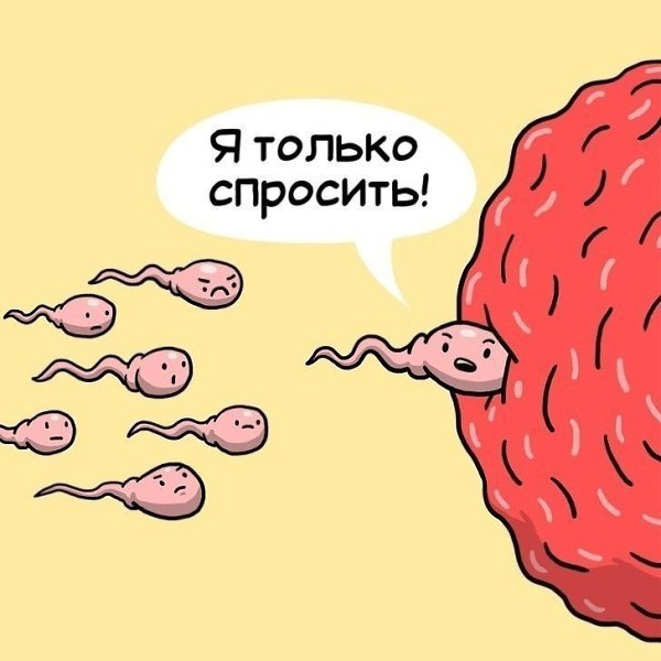 Истории из жизни нашего организма. Забавные картинки) - 6