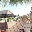 ���� ������, ������ - ��������� 12 ������� 2021 � ������ ���� ����������