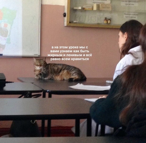 ,     