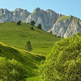 ���� Zmora, ������� - ��������� 3 ������� 2021