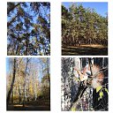 ���� �����, �������, 62 ���� - ��������� 30 ������� 2021 � ������ ���� ����������