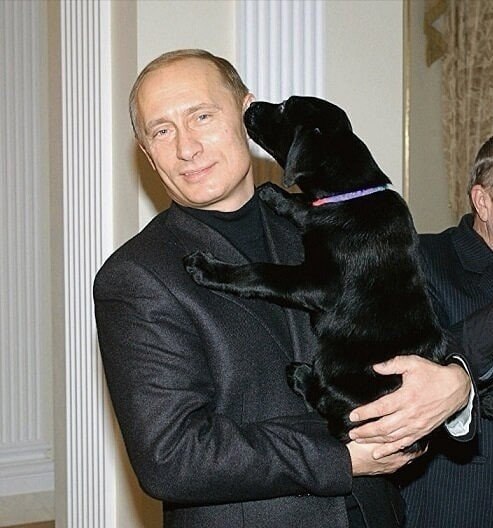 Собачек любят все. И даже собачки сами могут быть артистами!": Персональные запи