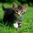 ���� ��������, ������, 50 ��� - ��������� 1 ���� 2021 � ������ ���� ����������