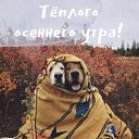���� �������, �����������, 77 ��� - ��������� 30 �������� 2021
