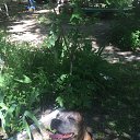 ���� ���, ���������, 23 ���� - ��������� 3 ���� 2021 � ������ ������ ��������