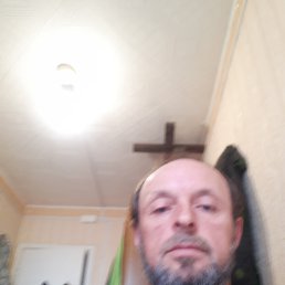 , 53, 