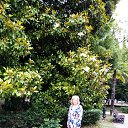 ���� ��������, ������ - ��������� 15 ���� 2021 � ������ ���� ����������