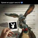 ���� �����, ������, 54 ���� - ��������� 6 ������� 2021 � ������ ���� ����������