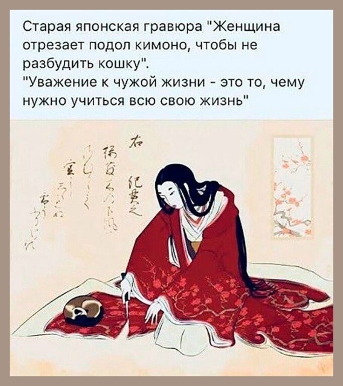 ☆ ☆ - 22  2021  12:48