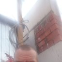 ���� ����, ������� ��������, 41 ��� - ��������� 23 ��� 2021 � ������ ���� ����������