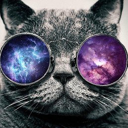 ���������, �����-���������, 50 ���