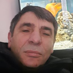�������, ������, 47 ���