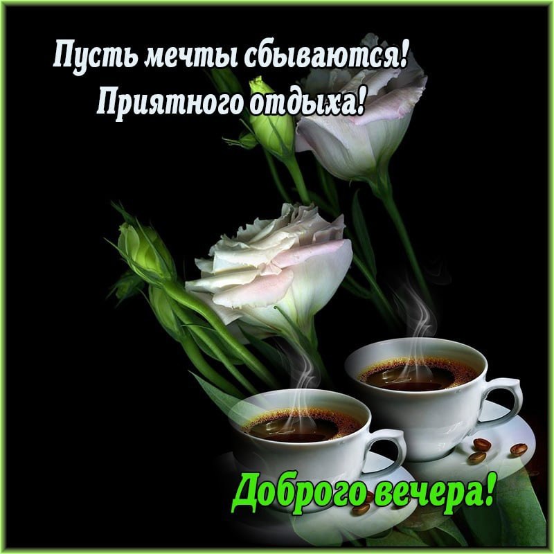   ,    . - 3  2021  18:54 - 3