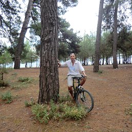 ���� ����, ������, 44 ���� - ��������� 16 ���� 2021