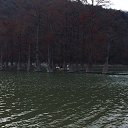 ���� �����, ������, 68 ��� - ��������� 27 ������ 2021 � ������ ���������, �����. ������ 2021.�