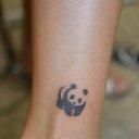 ���� ����, �������� - ��������� 16 ������� 2021 � ������ ���� ����������