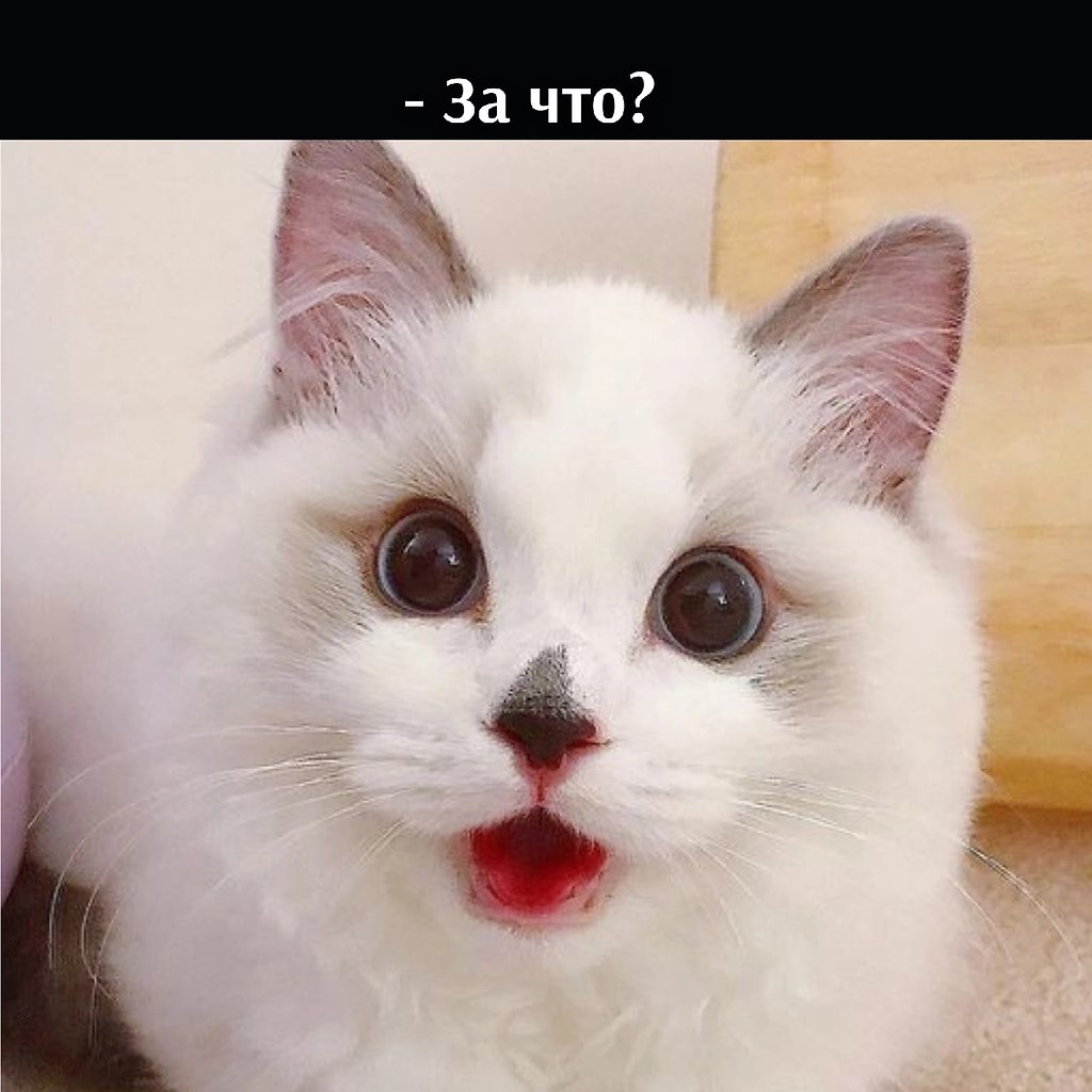       - 8  2022  15:19 - 3