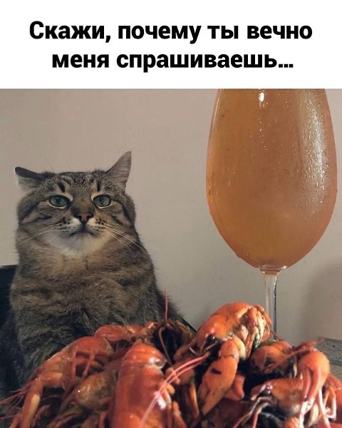 �� �� ��� �������! ������� ����������