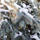 ���� Inna, ������ - ��������� 7 ������ 2021 � ������ ������ ��������