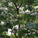 ���� ������, ��������������, 66 ��� - ��������� 22 ���� 2021 � ������ ���� ����������