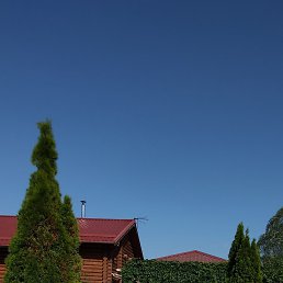 ���� Samara Man, ������ - ��������� 31 ������� 2021